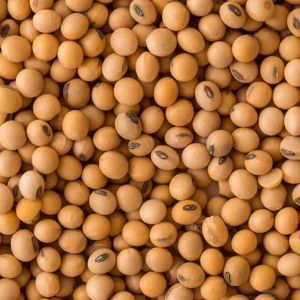 Soybeans (Bulk Export, Yellow Soybeans)